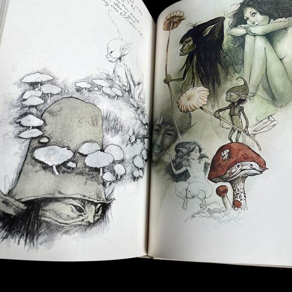 Vintage Faeries Book Hardcover 1978 Graphic Art Brian Froud No Dust Jacket READ - Picture 8 of 16